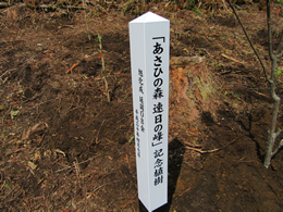 「あさひの森・速日の峰」での植林活動