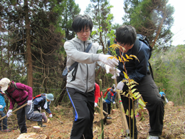 「あさひの森・速日の峰」での植林活動